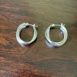Elegant Silver Hoop Earrings